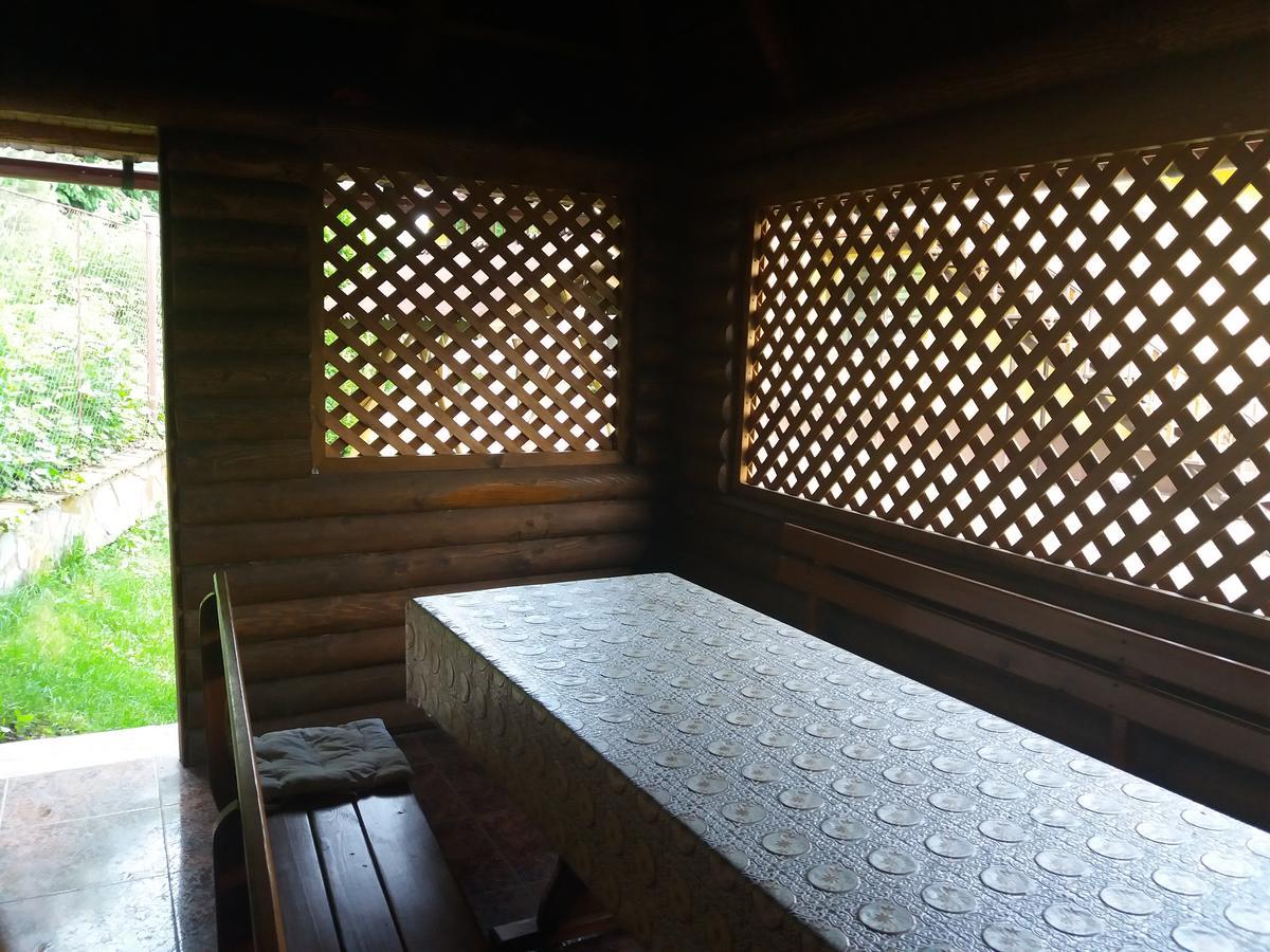 U Lyudmily Karpaty Exterior foto