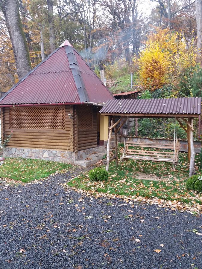U Lyudmily Karpaty Exterior foto