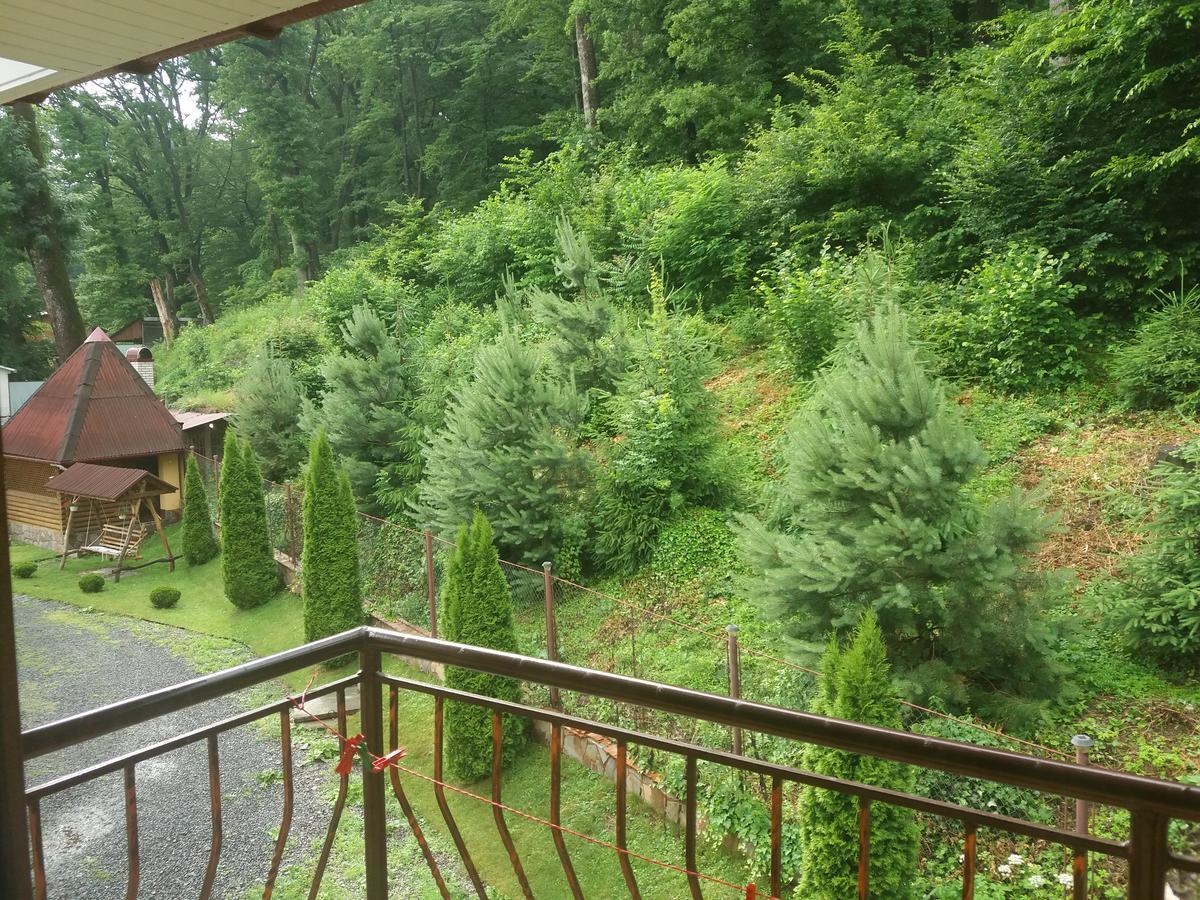 U Lyudmily Karpaty Exterior foto